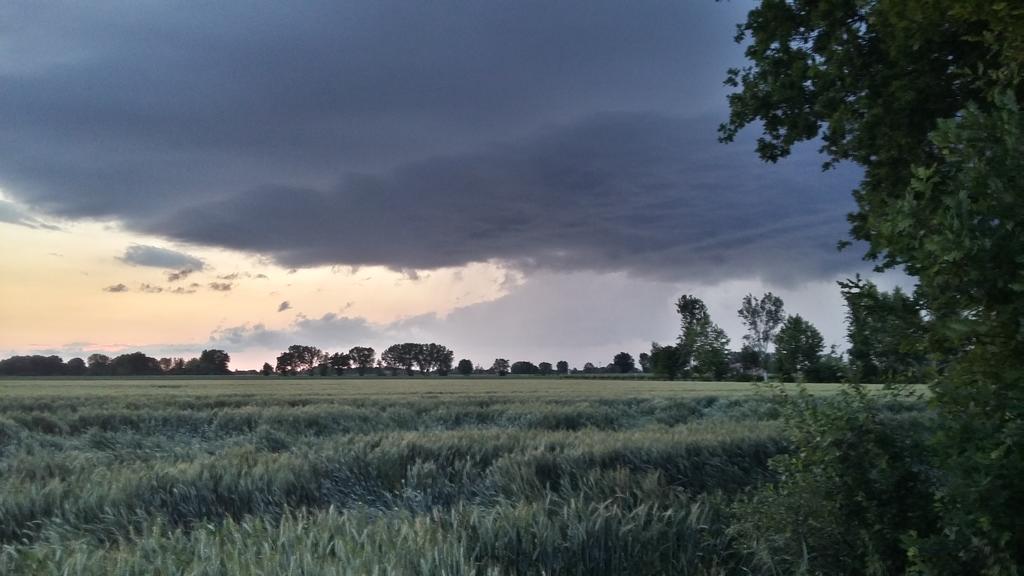 Agriturismo Boschi Βίλα Reggiolo Εξωτερικό φωτογραφία